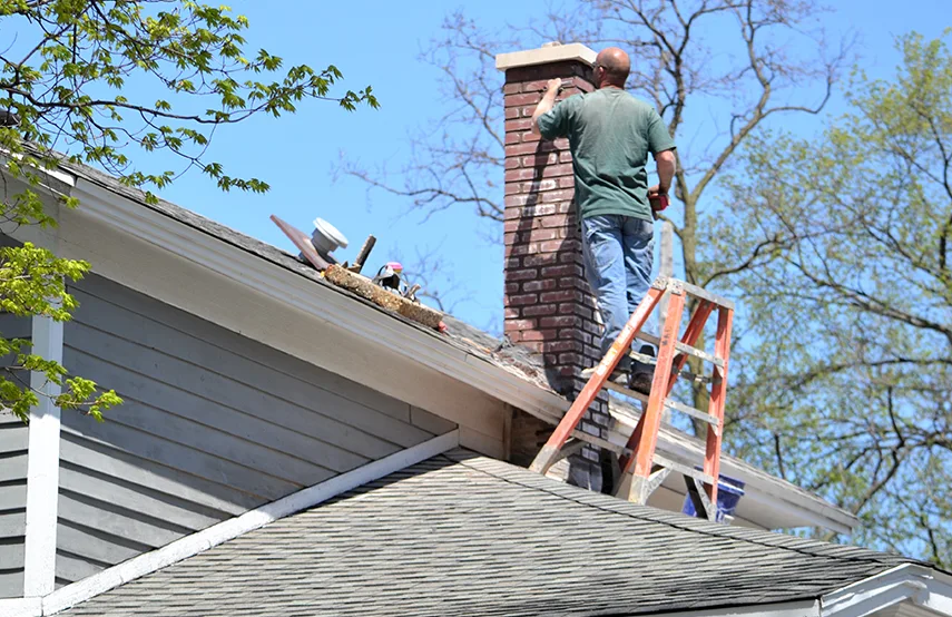 Chimney & Fireplace Inspections Services in Storrs, CT